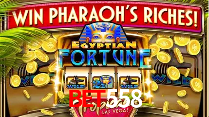 A Experiência Imersiva dos Cassinos Ao Vivo no bet558